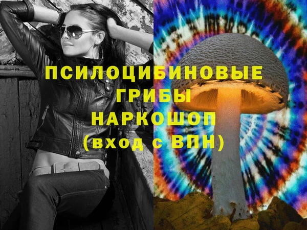 spice Белокуриха