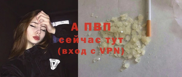 spice Белокуриха