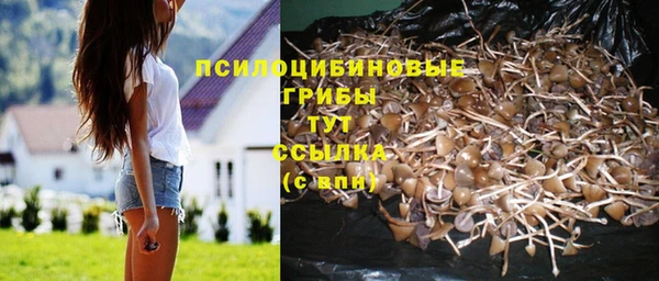 spice Белокуриха