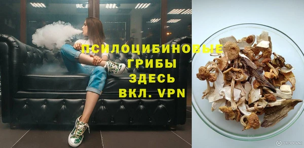 spice Белокуриха