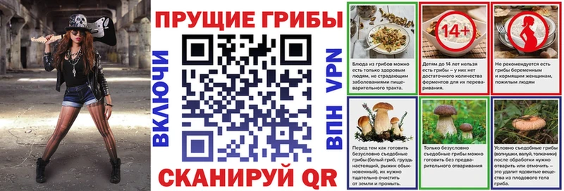 Галлюциногенные грибы Cubensis  Буйнакск 