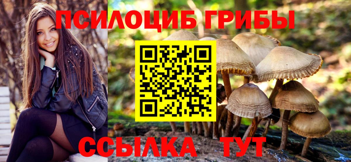 Галлюциногенные грибы мицелий Буйнакск