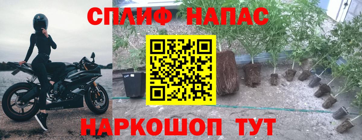 Марихуана Bruce Banner Буйнакск